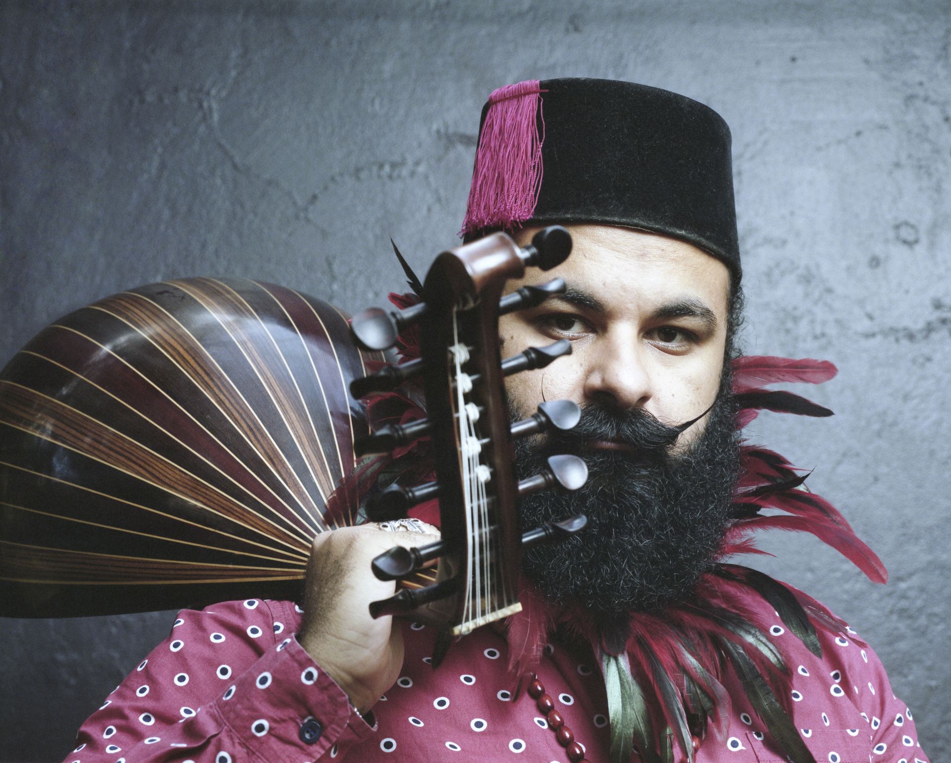 Feathers - Photo: Daniel Sponiar